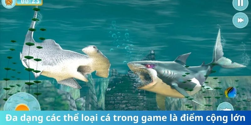 Đa dạng các thể loại cá trong game là điểm cộng lớn