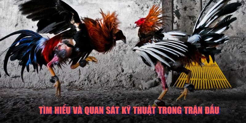 Kỹ năng tìm hiểu và quan sát cực kỳ quan trọng