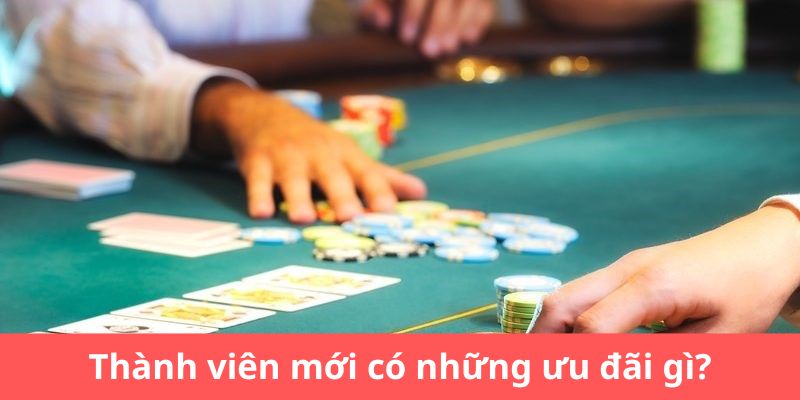 Thành viên mới có những ưu đãi gì?