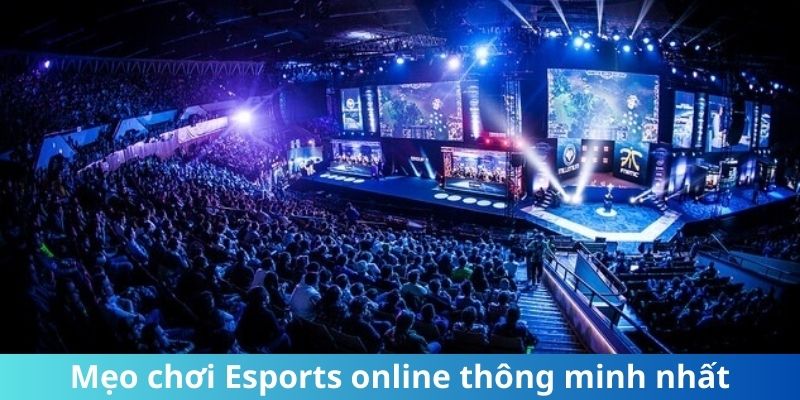 Mẹo chơi Esports online thông minh nhất